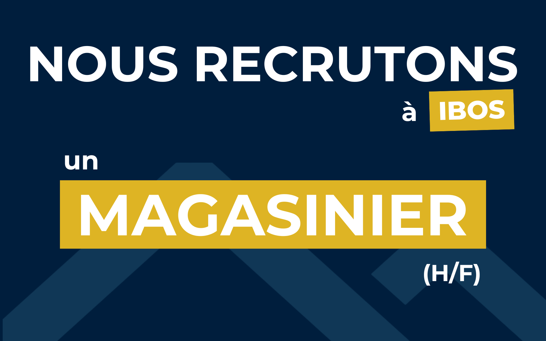 Falliero_Recrutement-Magasinier-H-F_Ibos-65
